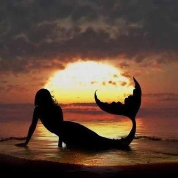 Meet your Posher, Lesslie - Picture 1 of 1